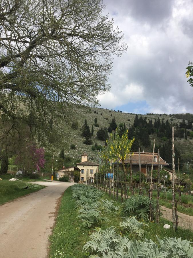 La Fonte *